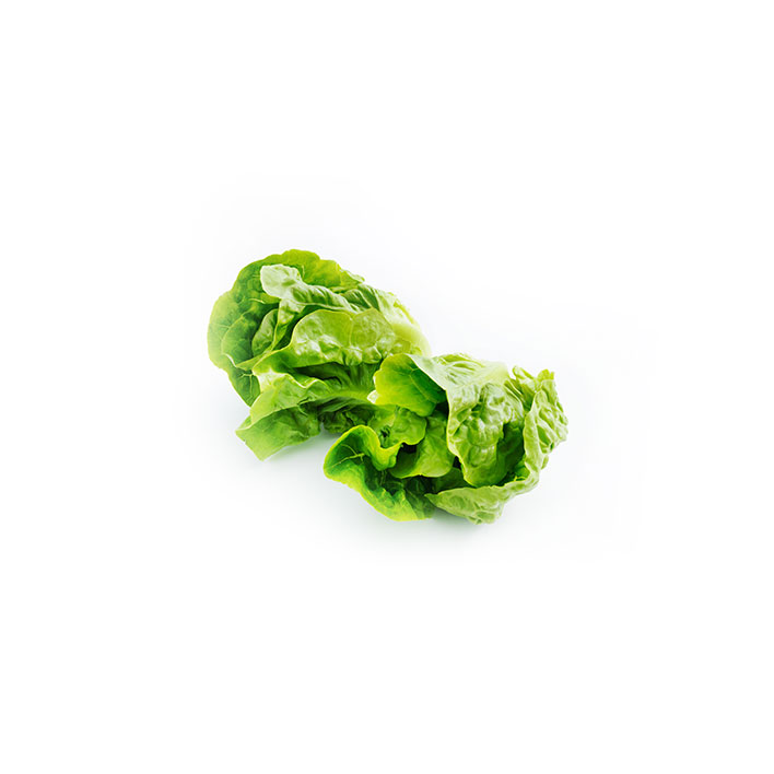 Lettuce Baby Gems Green (2PCS) product image