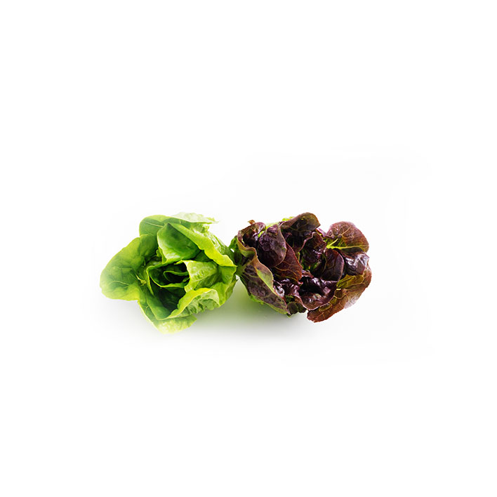 Lettuce Baby Gems Combo (2PCS) product image